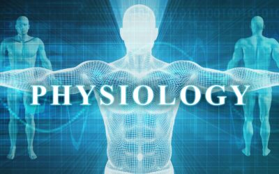 Wie Ausdauertraining Körper und Geist stärkt