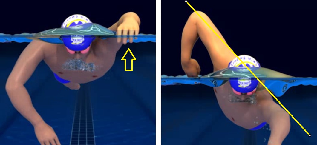 swim posture and hand entry