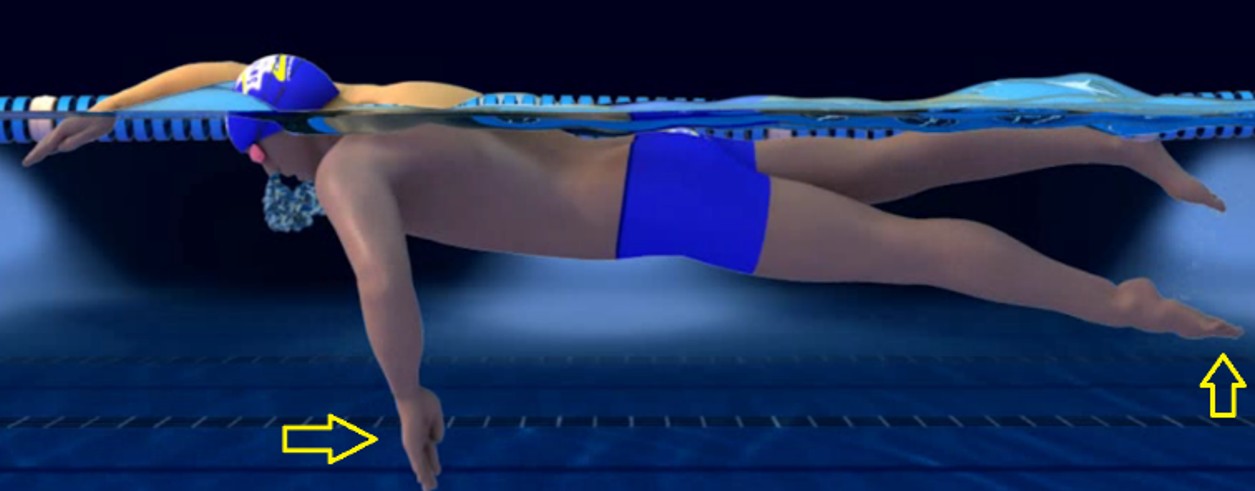 swim propulsion