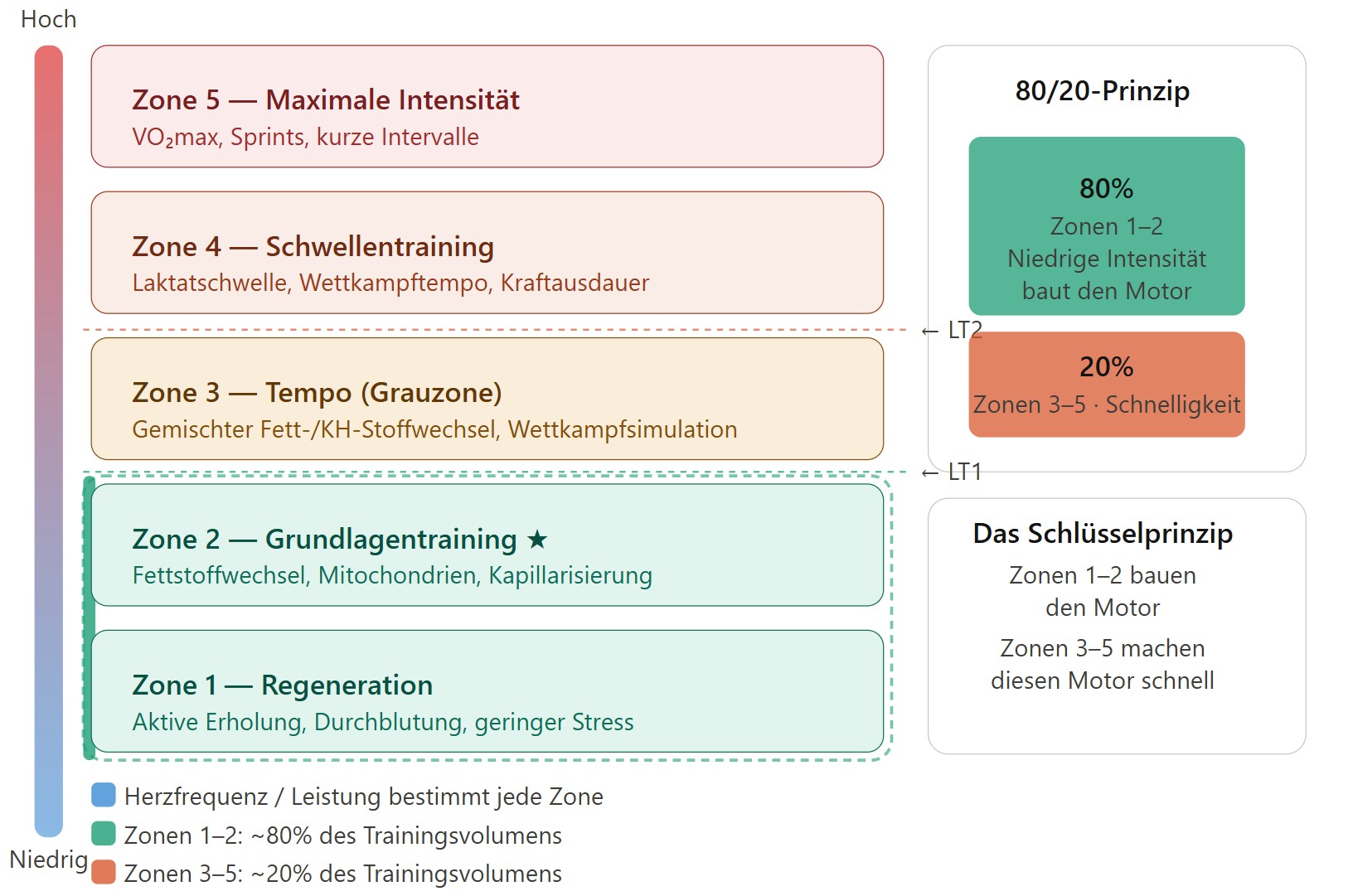 Trainingzones dt